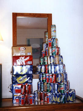 The infamous Florida Tower of Cans